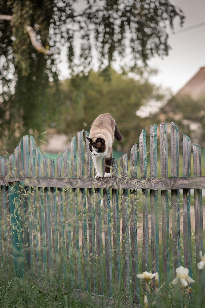 Темнеет, пора домой