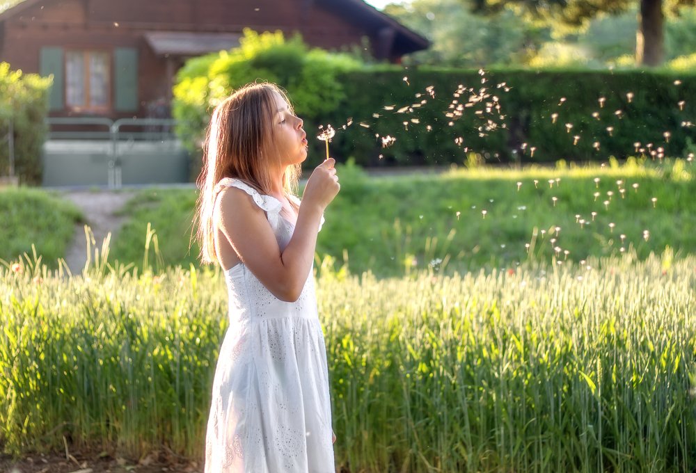Girl with dandelion at sunset