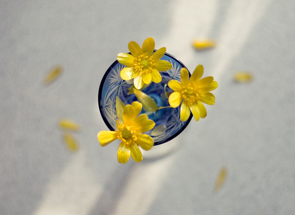 Трое об одном