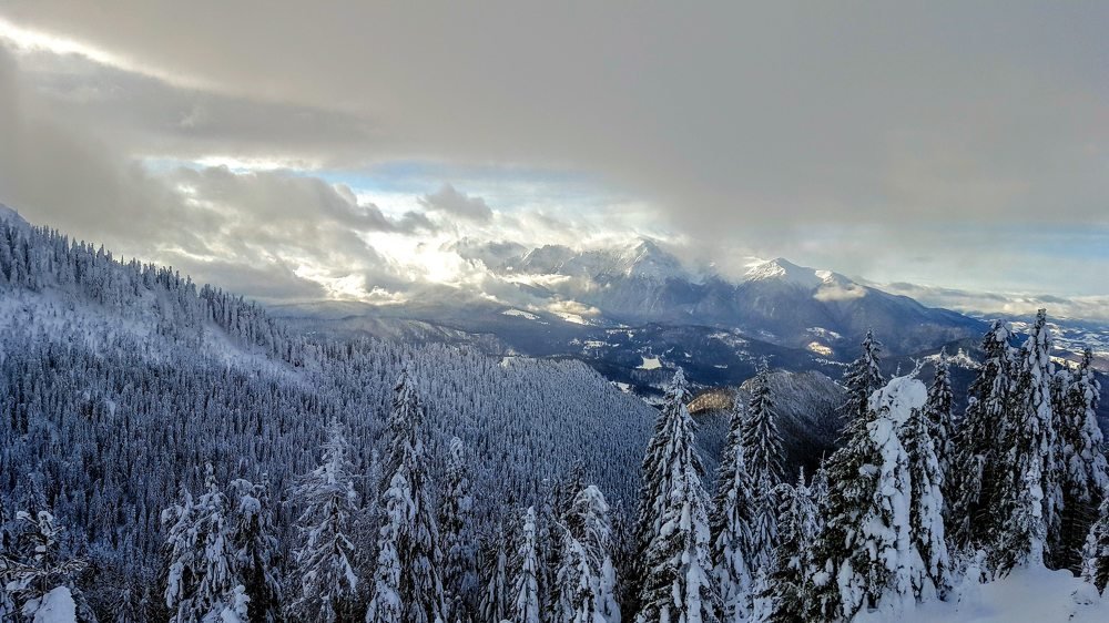 Photograph by Vilgelmas