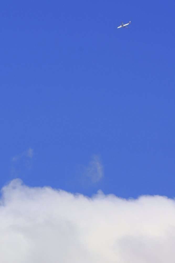 Photograph by Przemyslaw Wlodkowski