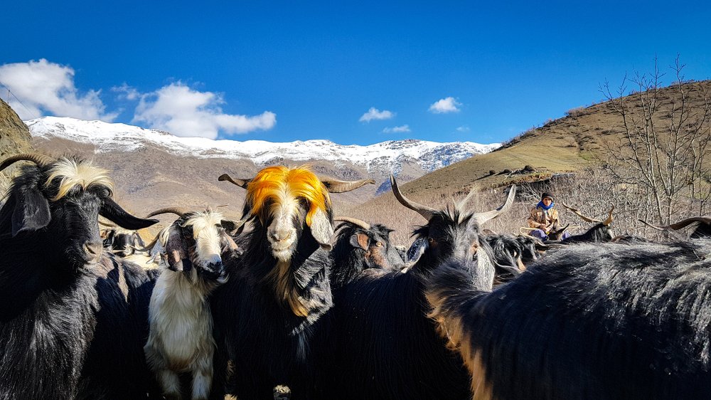 Photograph by kamyar Kamyar