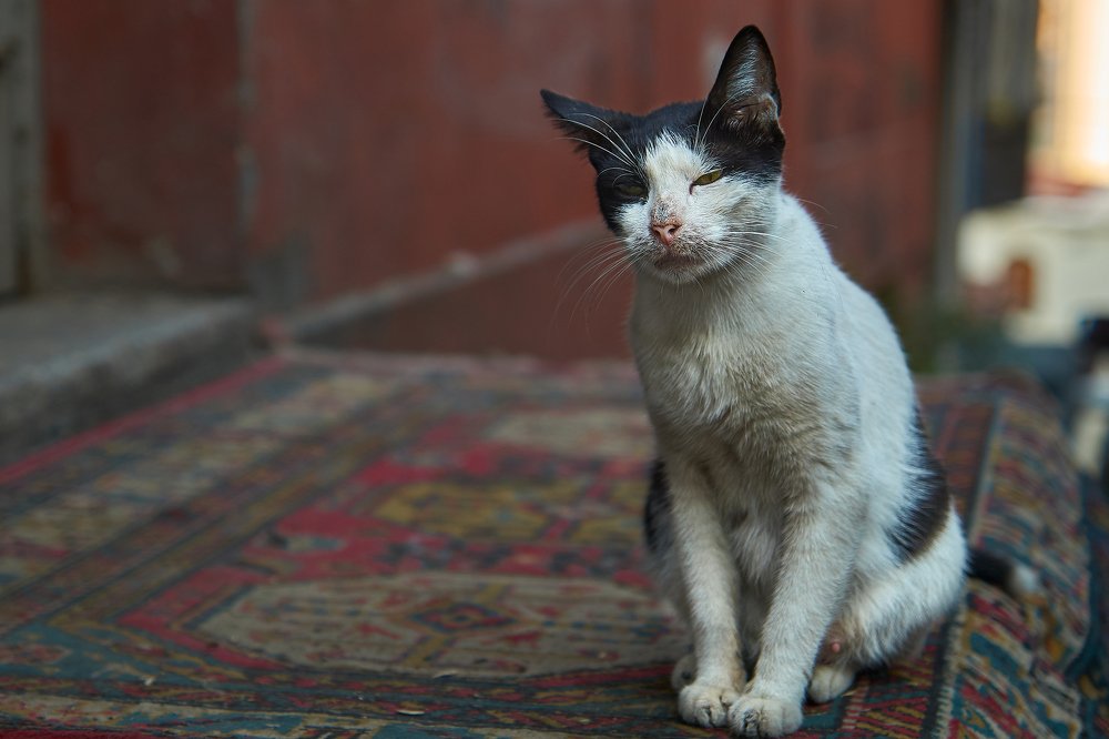 Photograph by Ирина Секачева