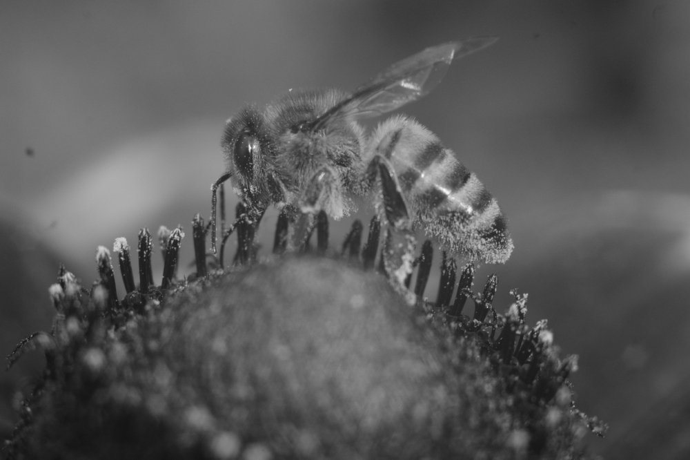 Да, нелегкая это работа...