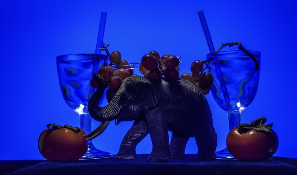 Photograph by Donald Rumsey