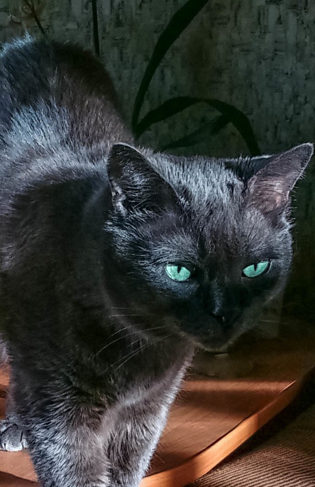 Photograph by Надежда