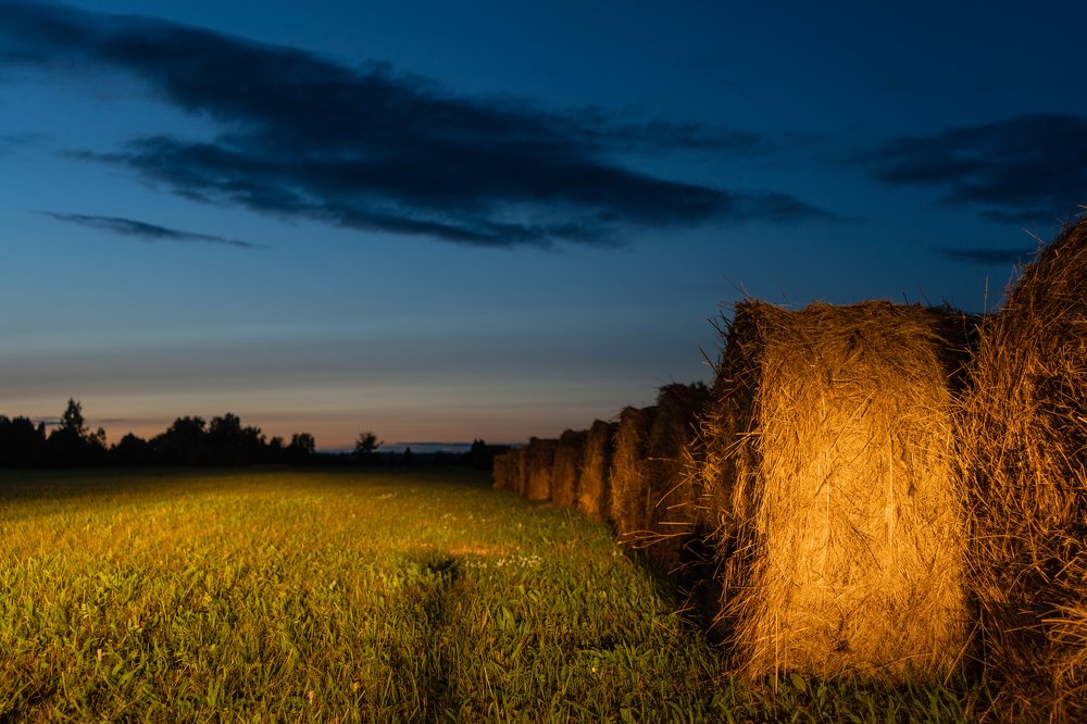 Сельская жизнь
