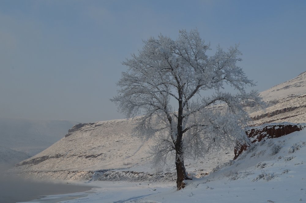 Зима морозная