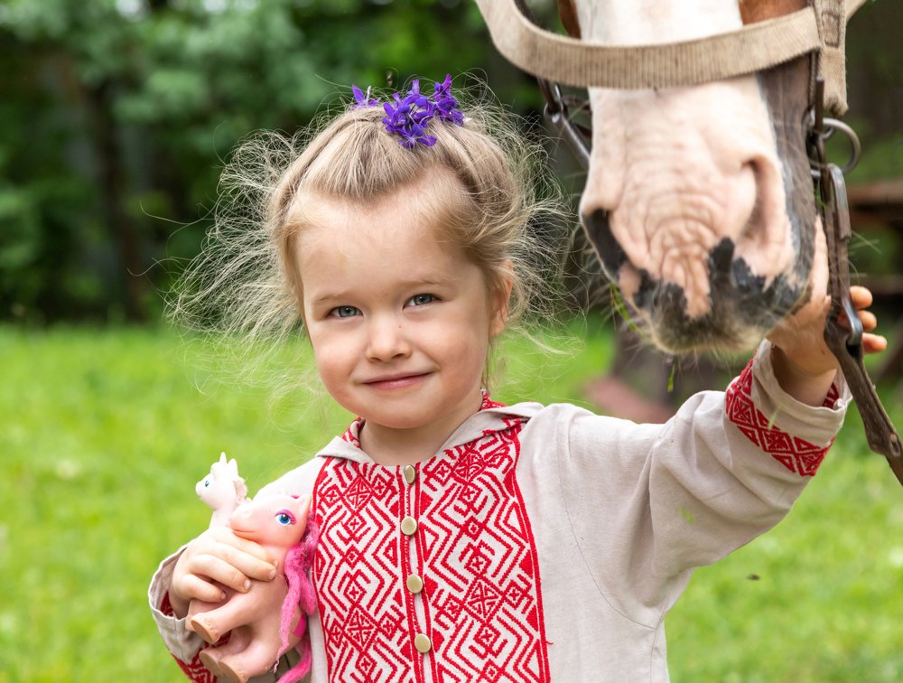 Девочка с лошадками