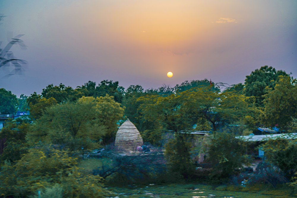 Home in nature's lapel
