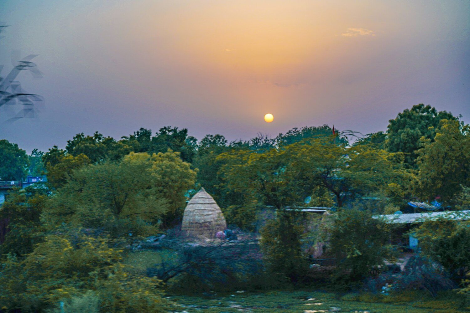 Home in nature's lapel