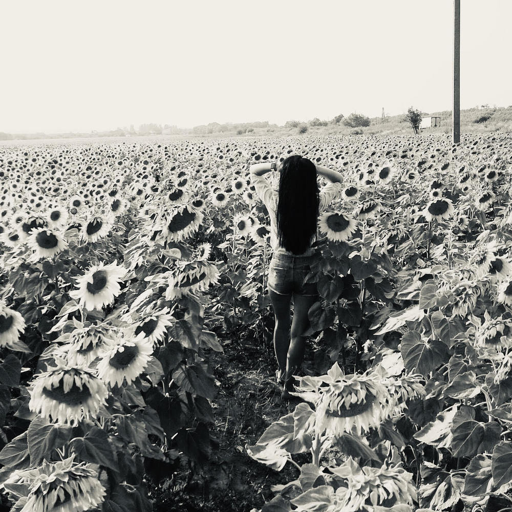 Прогулка в солнечном поле