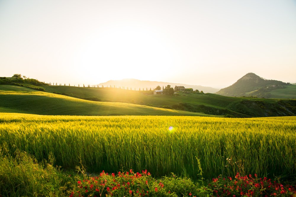 Photograph by Светлана Демина