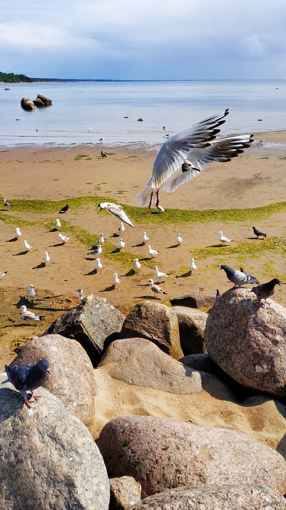 Photograph by Екатерина Бевзенко