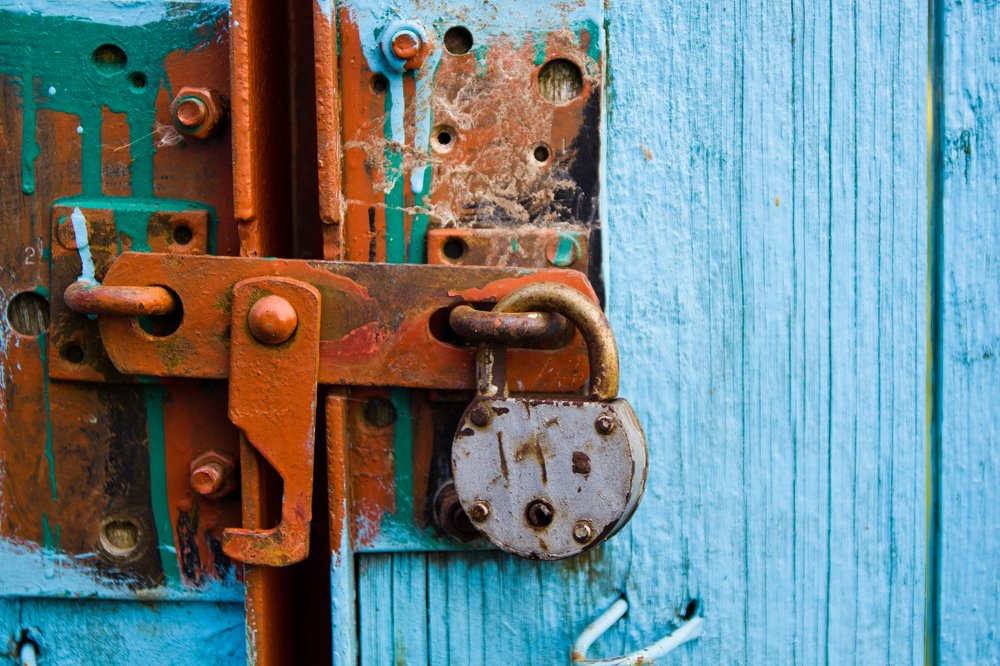 Фотография автора Гудкова Светлана