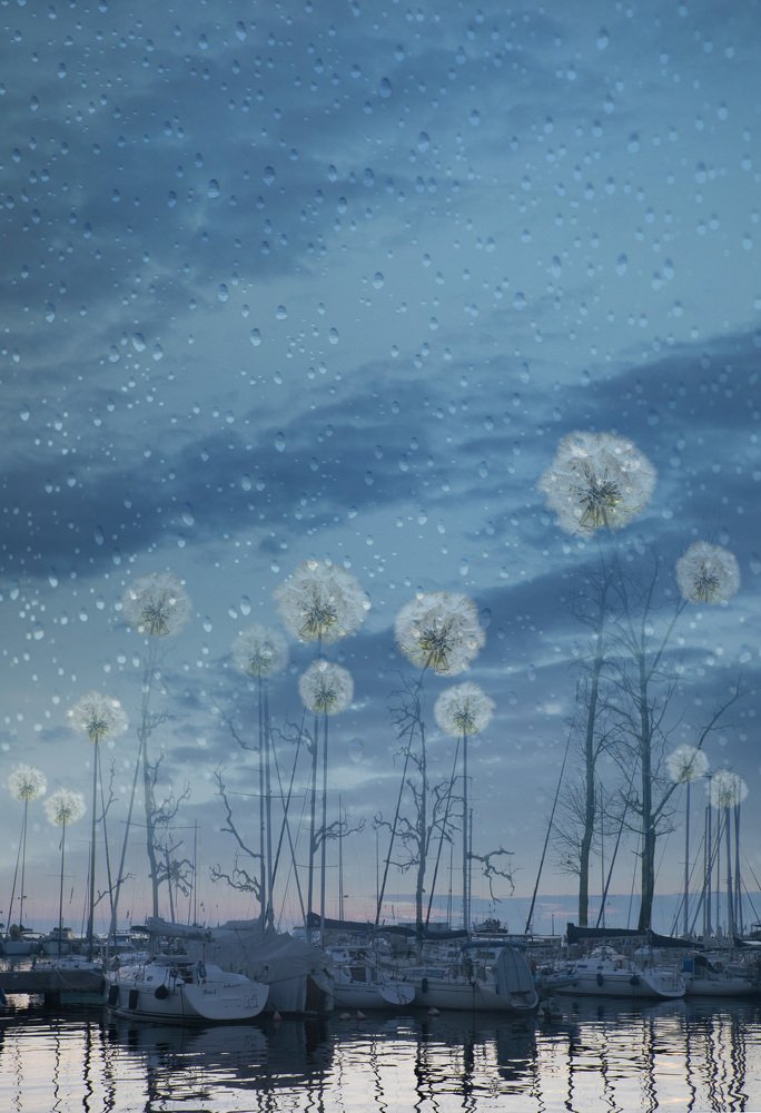 Сон парусников