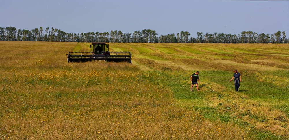 Уборочная страда.