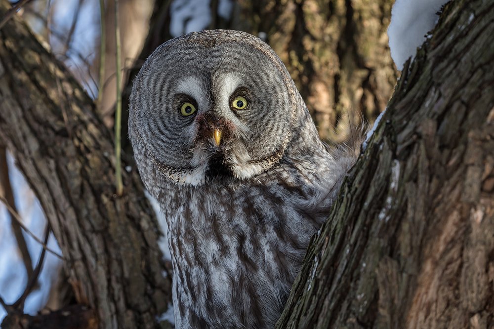 Схвачена на месте преступления.