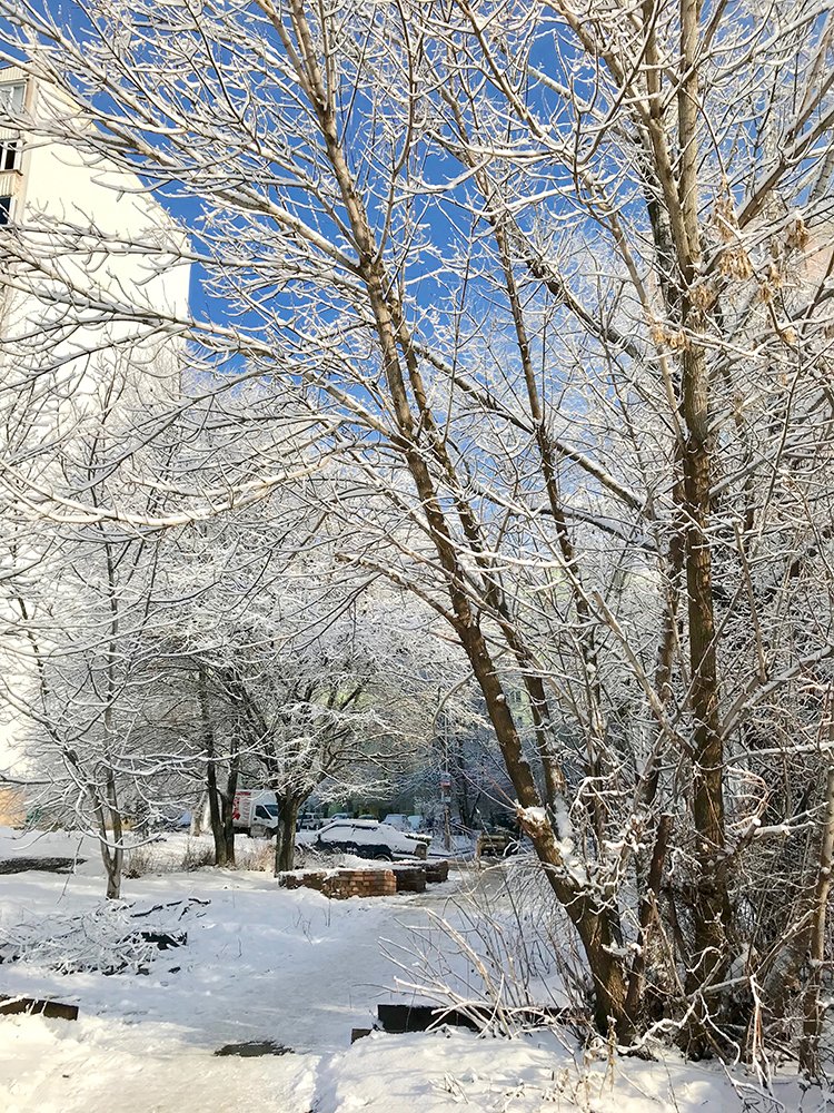 Первый снег