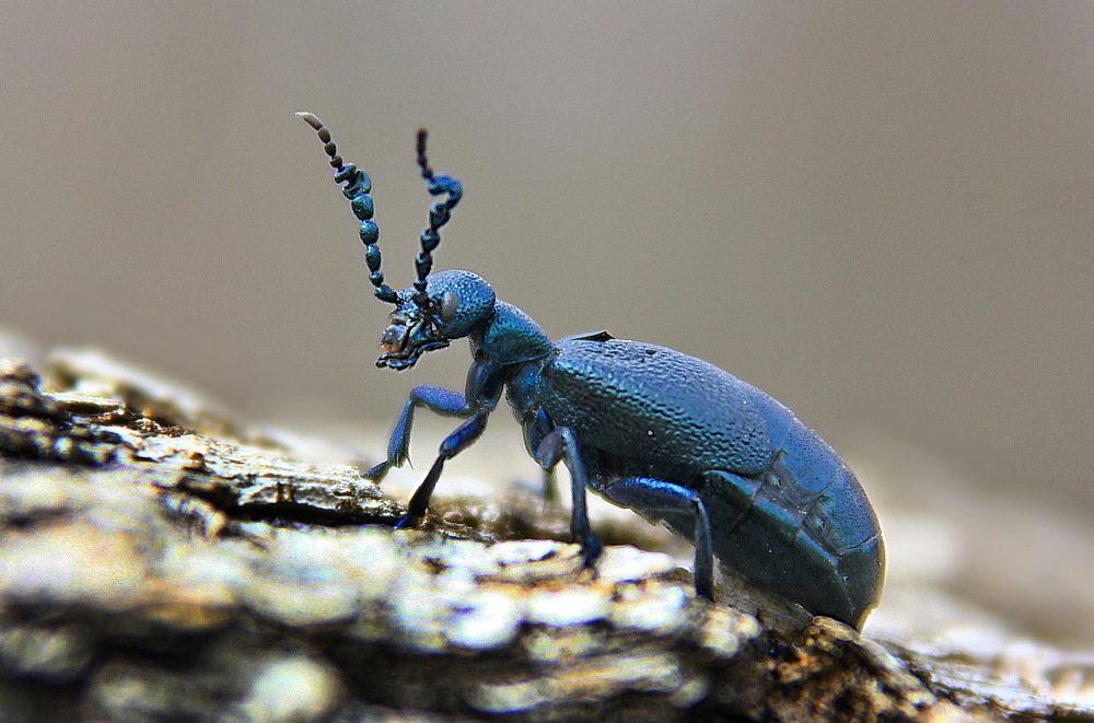 Photograph by Анатолий Мироненко