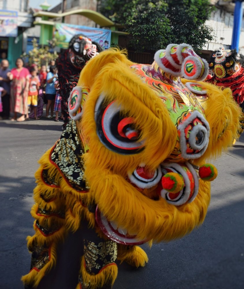 The Yellow Barongsai