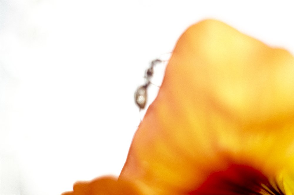 Движение вверх!