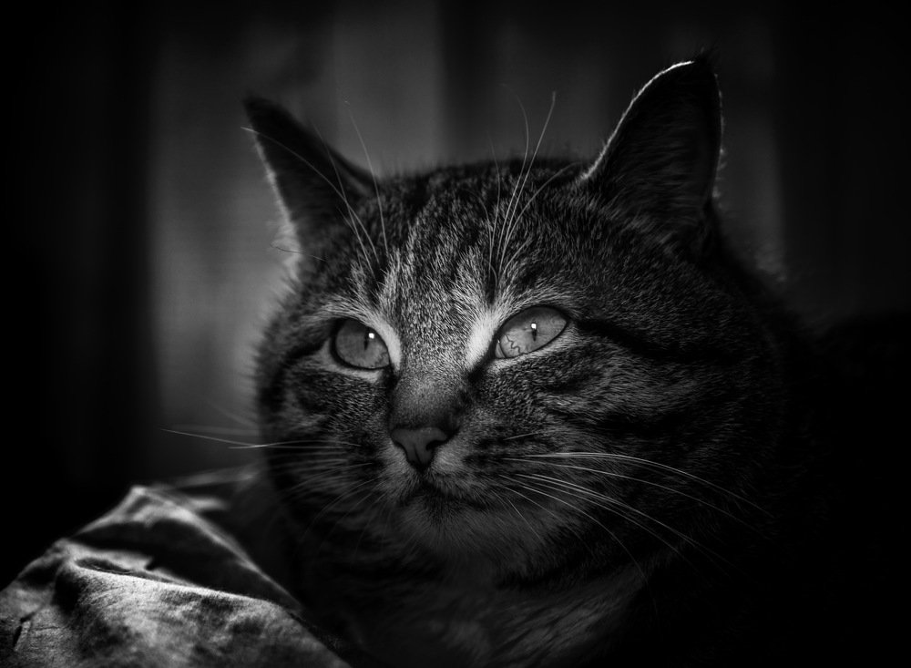 Photograph by Алексей Ознобихин