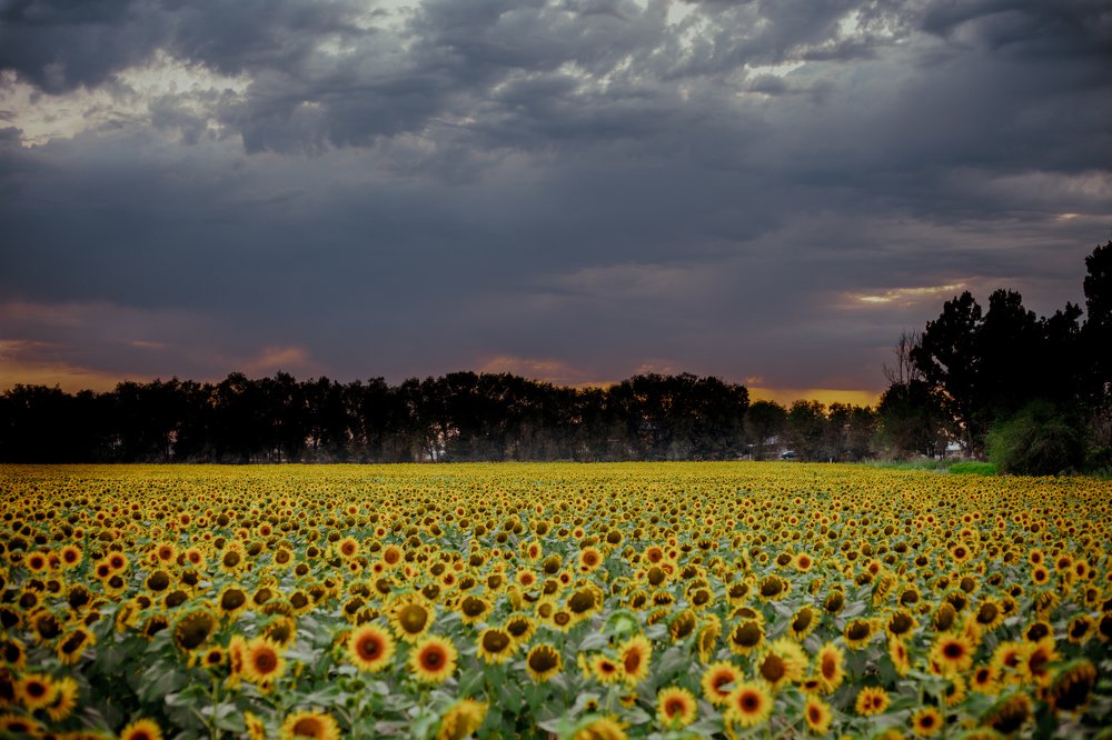 солнечный закат