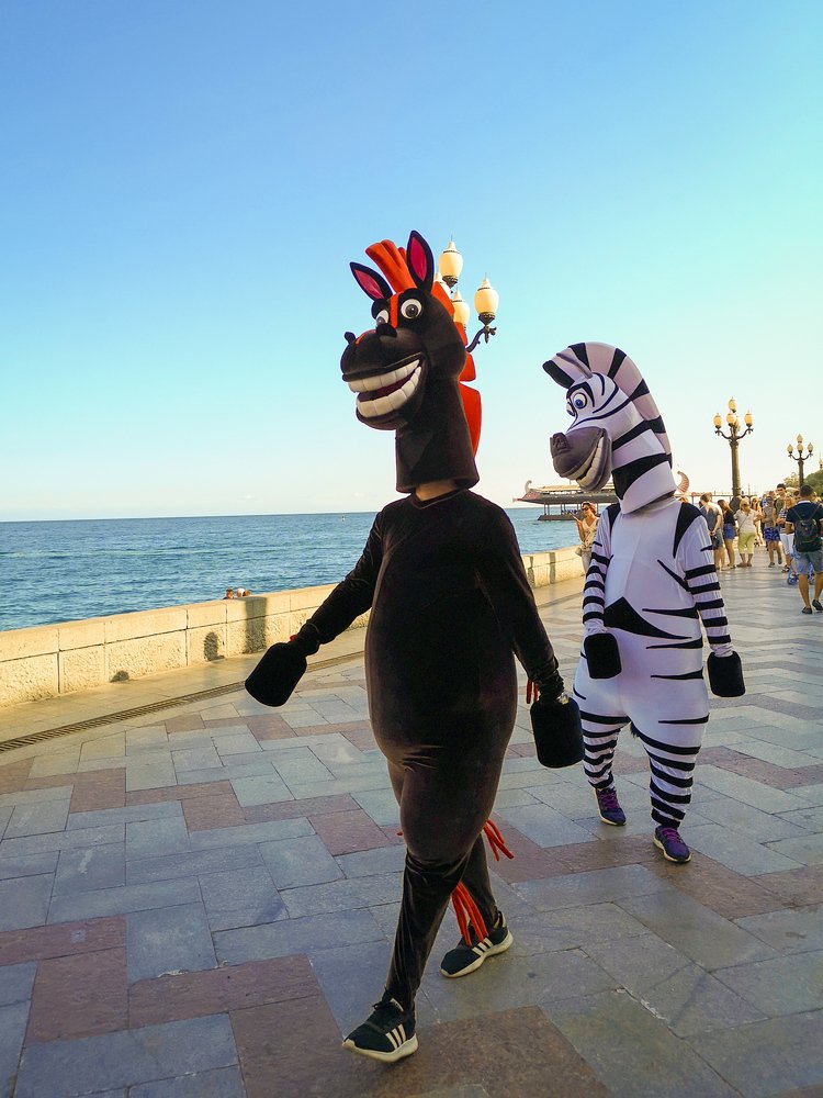 Подготовка к году Лошади