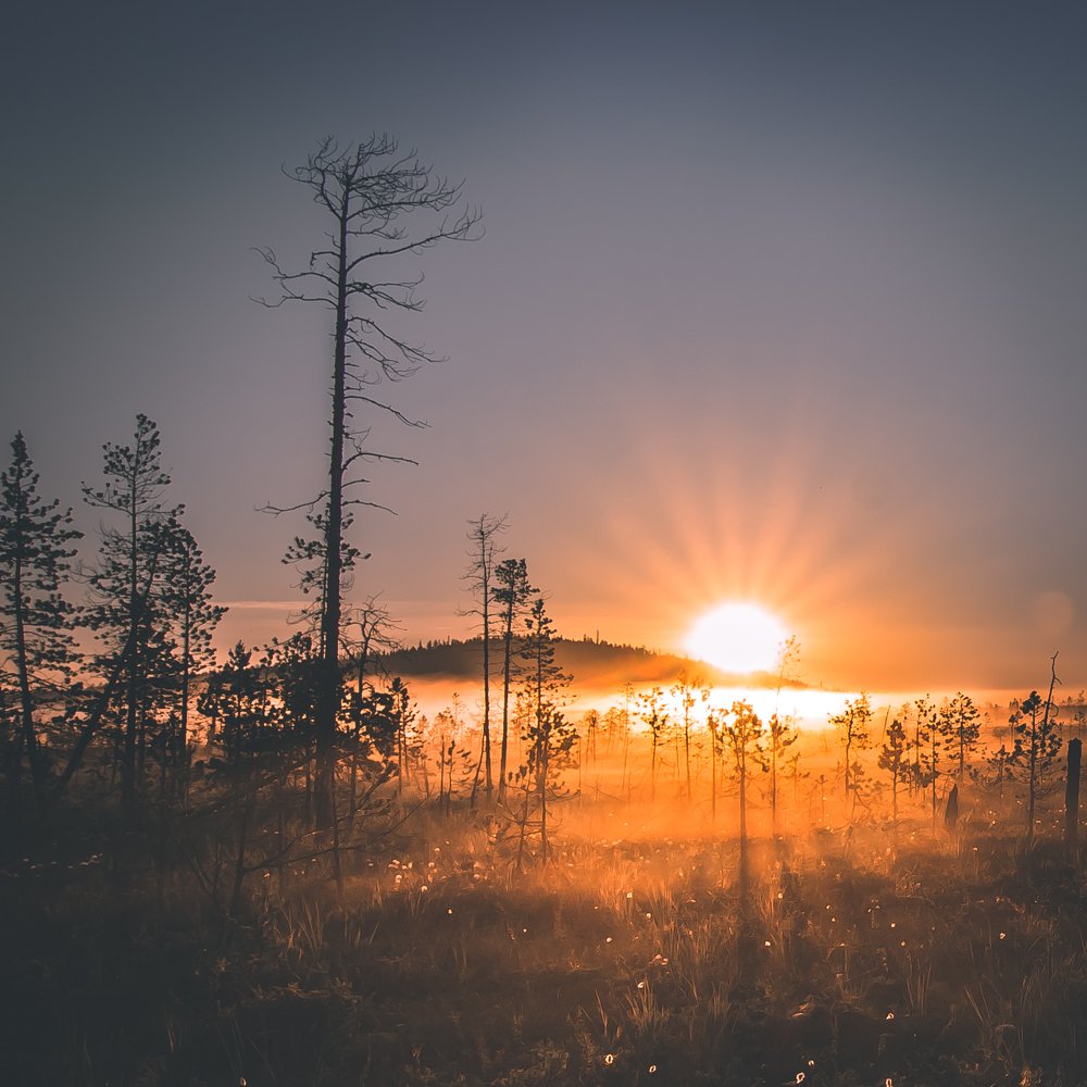 Закат-рассвет