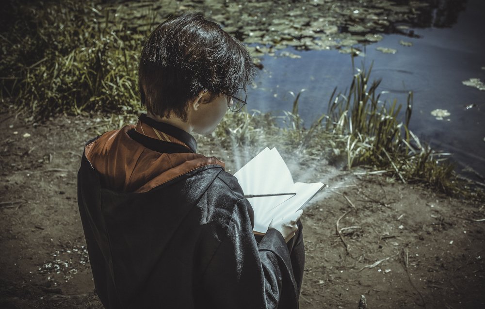 Дневник Тома Редла