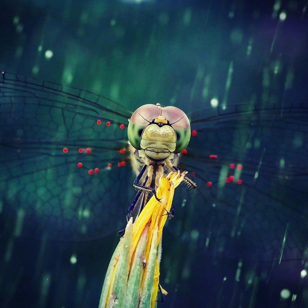 Матрица.Перезагрузка