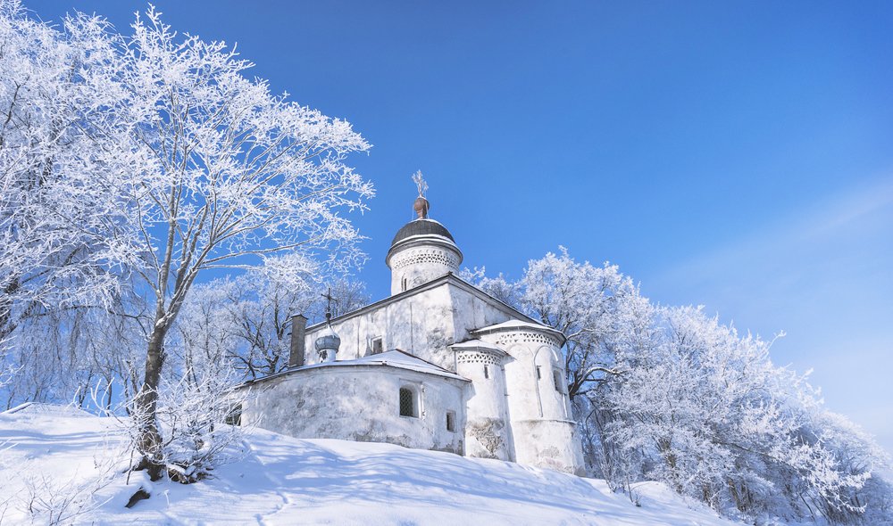 Фотография автора Майя Афзаал