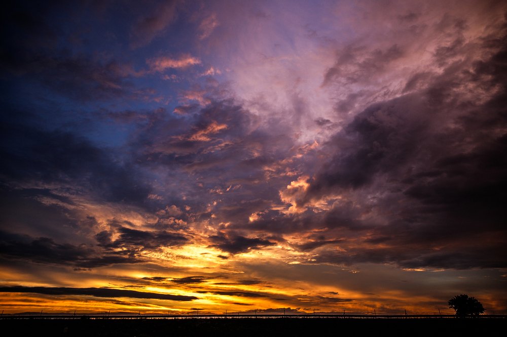 Фотография автора Гудкова Светлана
