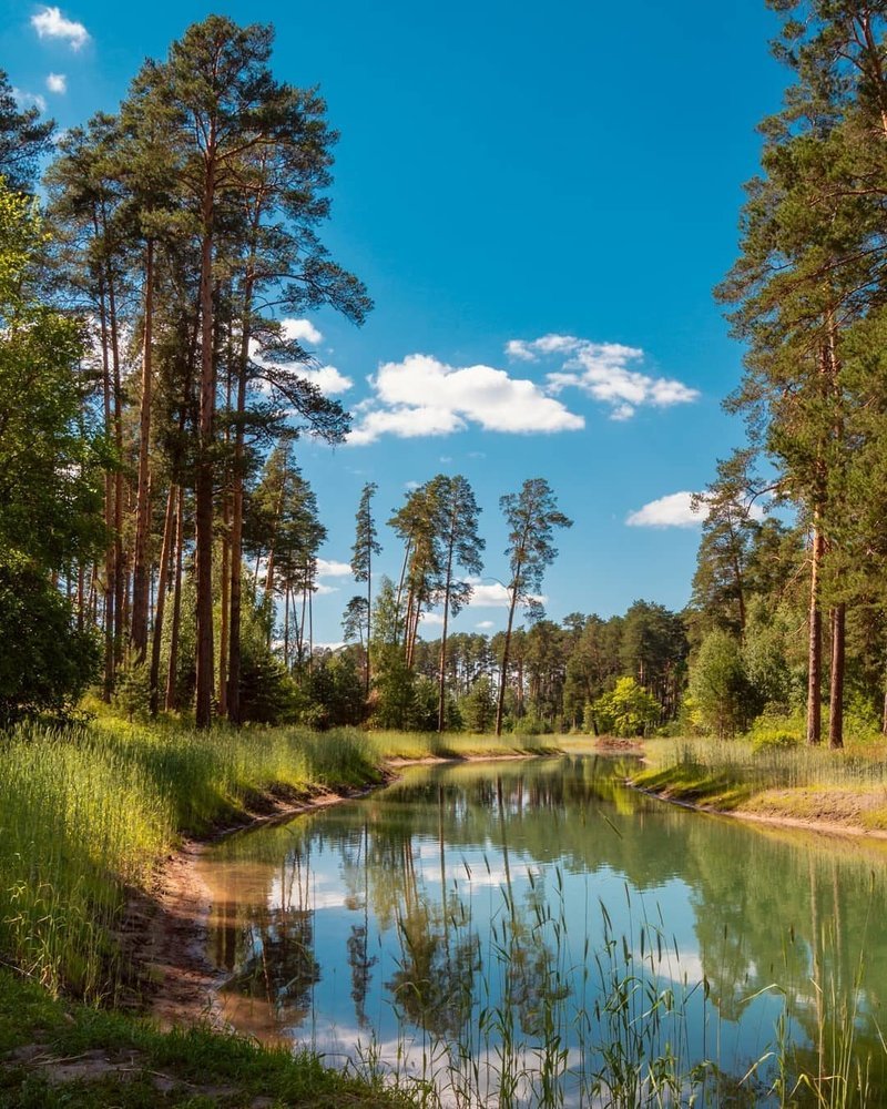 Photograph by Ксения Туваева