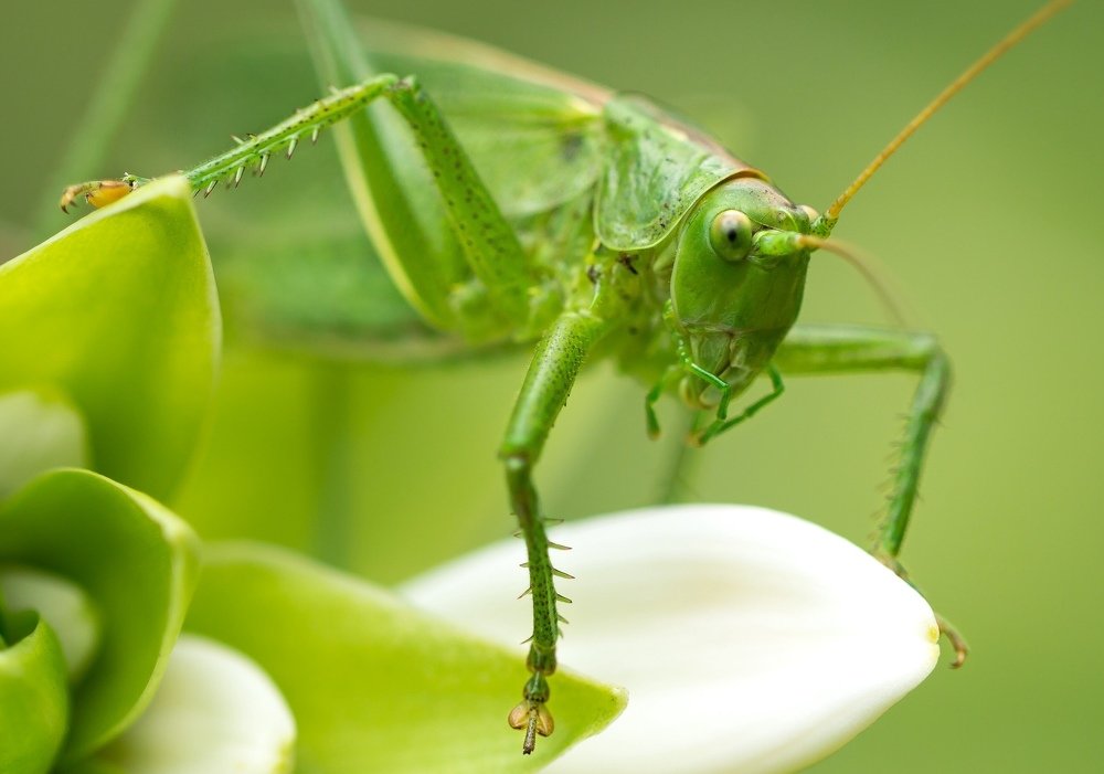 Photograph by Oleg Patrin