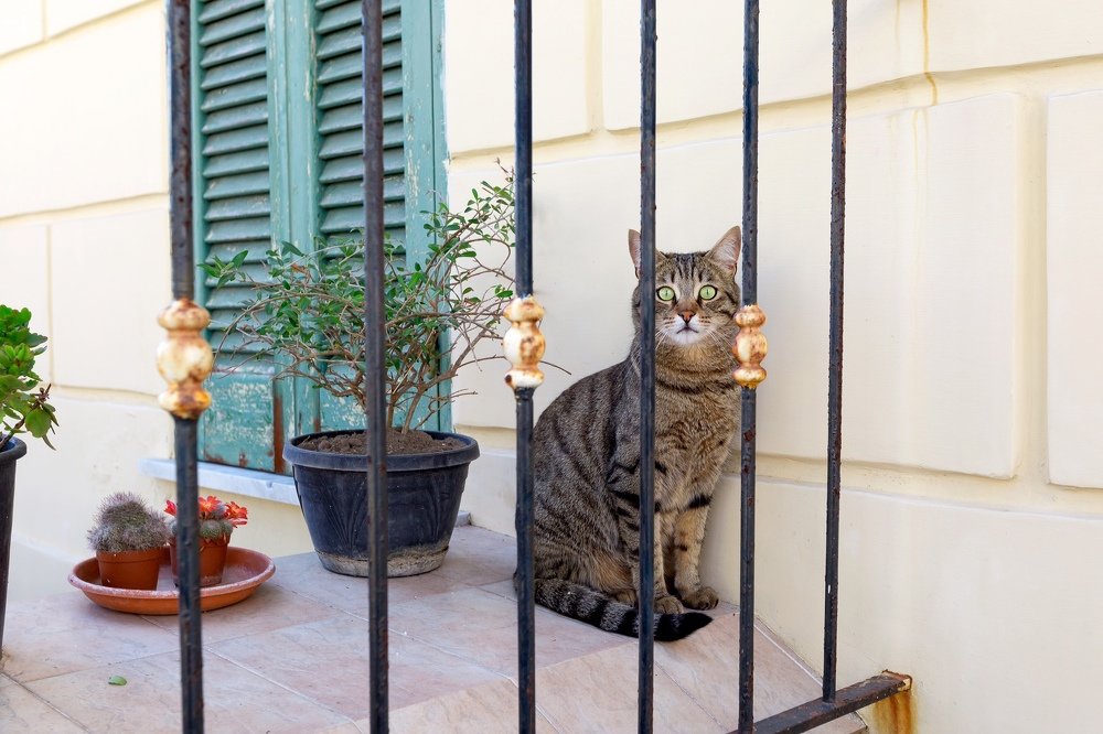 Photograph by Oleg Patrin