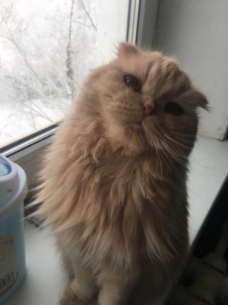 Я вам нравлюсь???