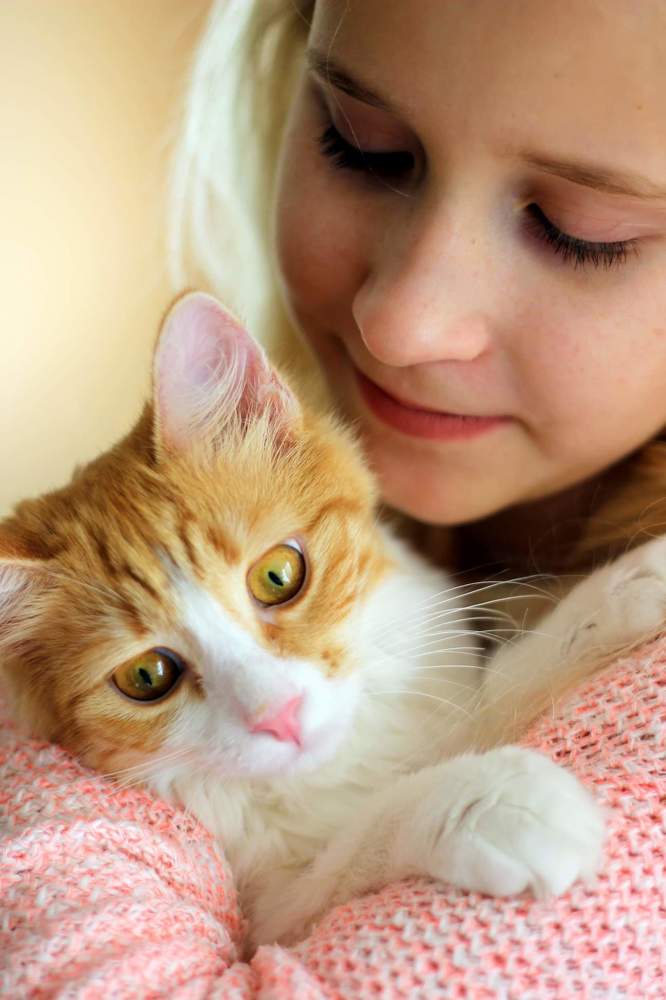 Рыжее счастье