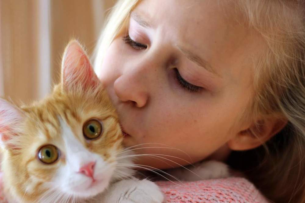 Рыжее счастье