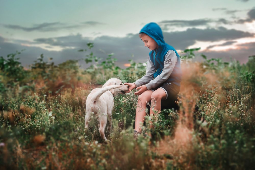 Photograph by Любовь Морец