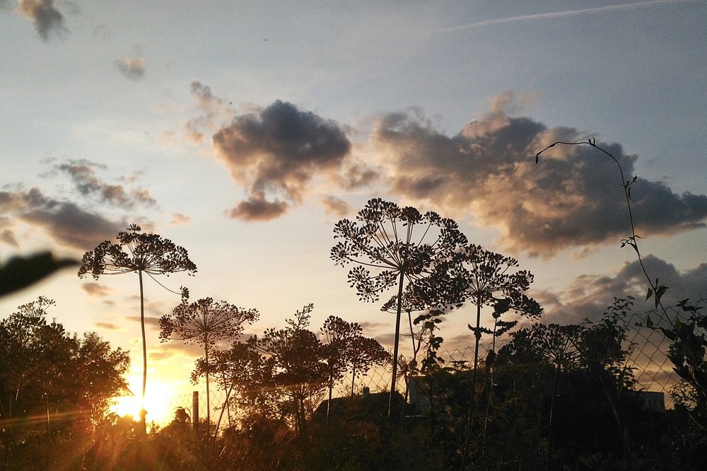 Photograph by Юлия Кулиева