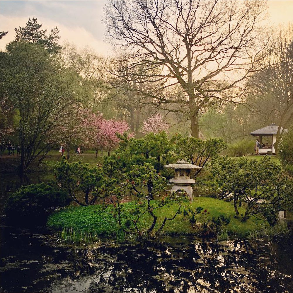 Japanese garden