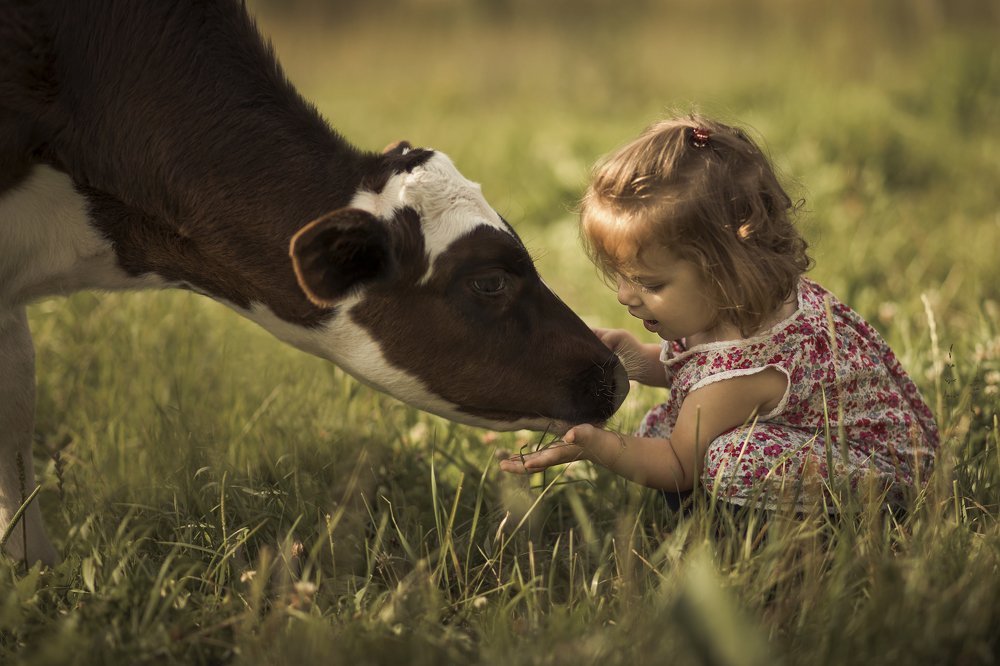 Friends will be friends