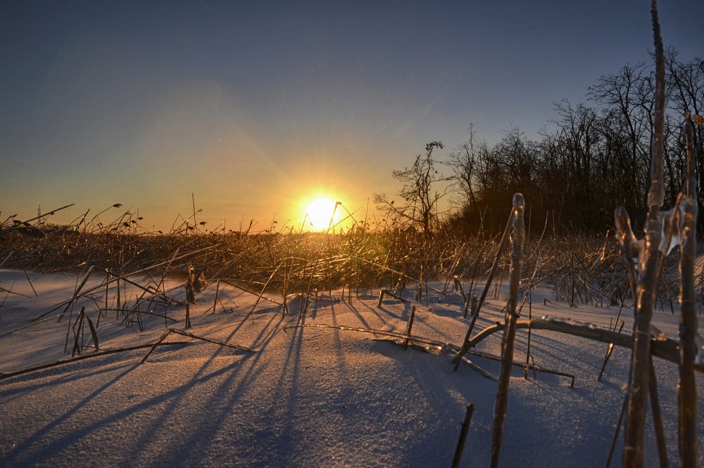 Photograph by Михаил Kolesnik