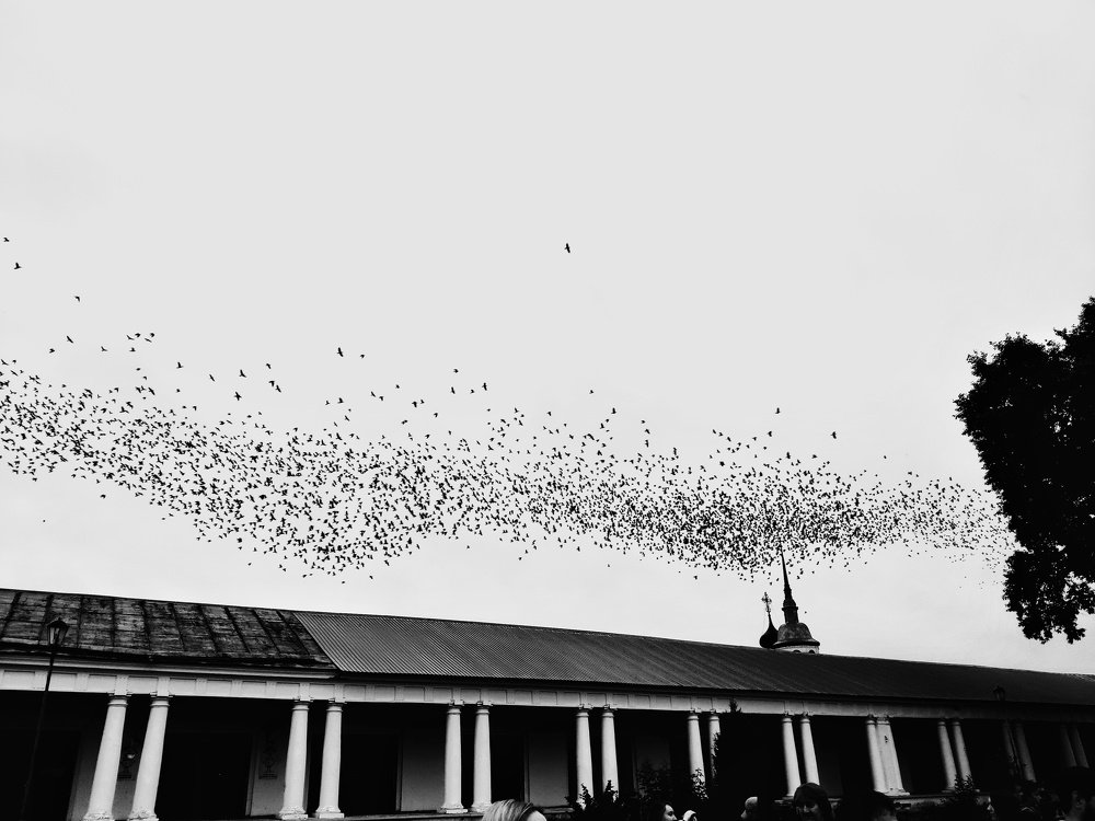 Photograph by Evgeny  Parfenov