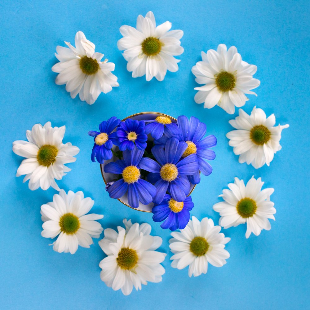 Photograph by Дарья Терещенко