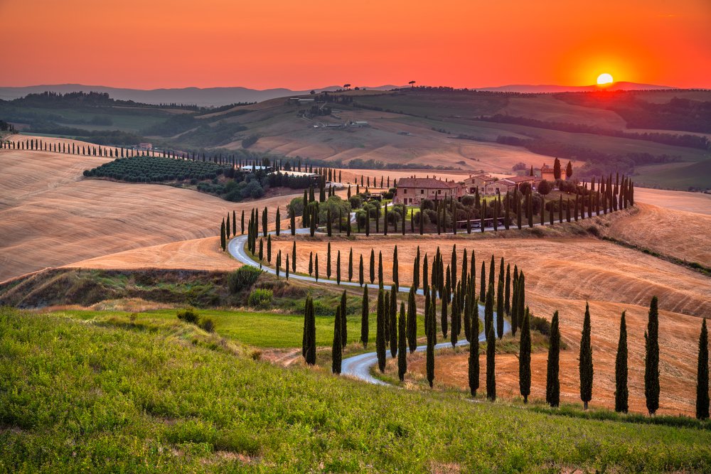 Under the Tuscan Sun