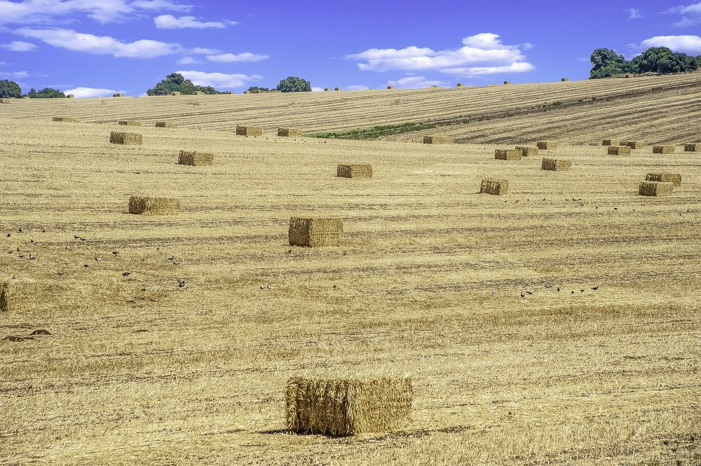 бескрайние просторы