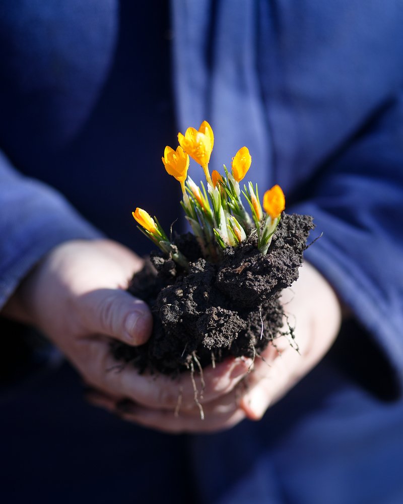 Photograph by Дарья Терещенко